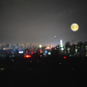 亚洲电影影音先锋
